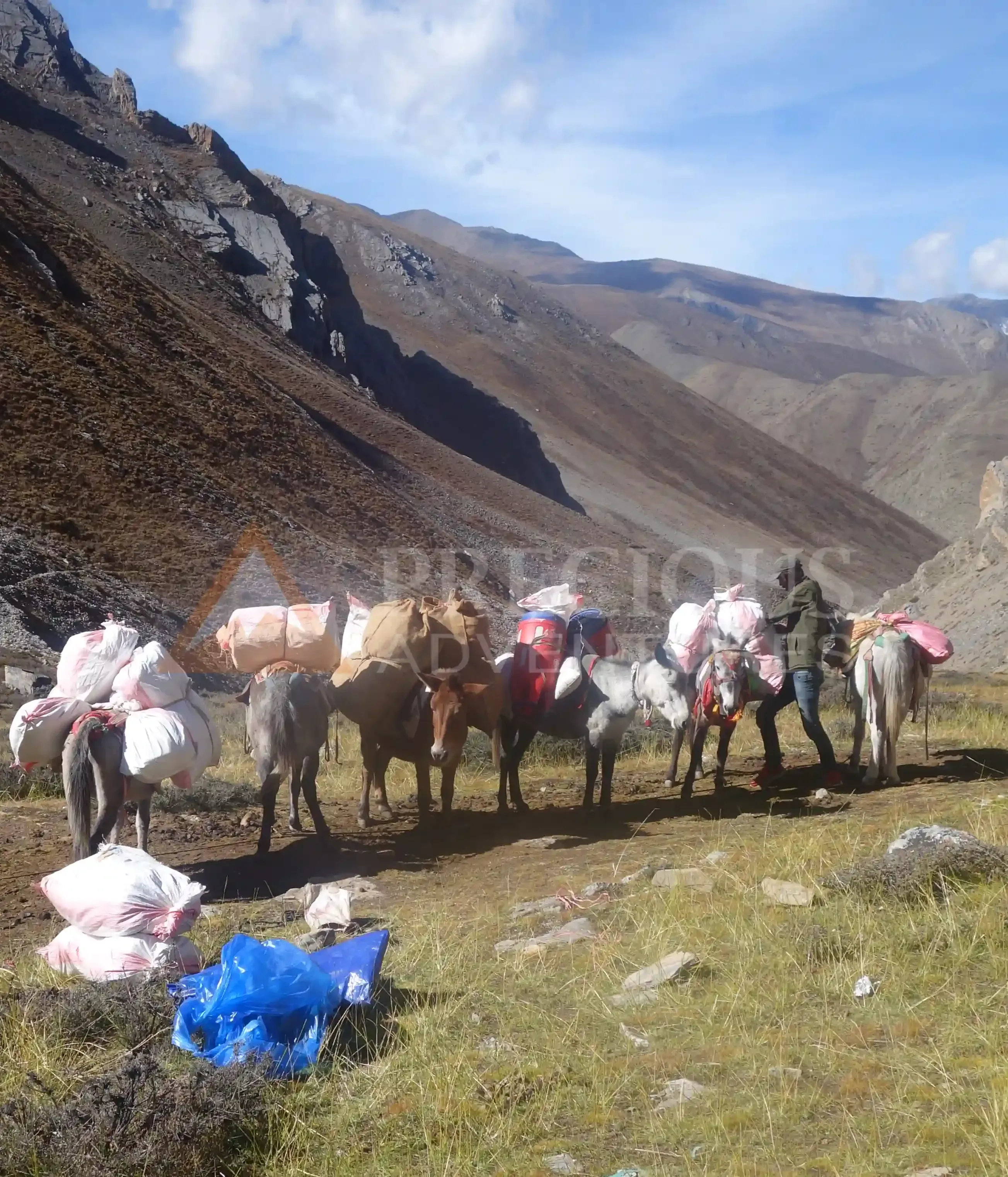 lower-dolpo-trek